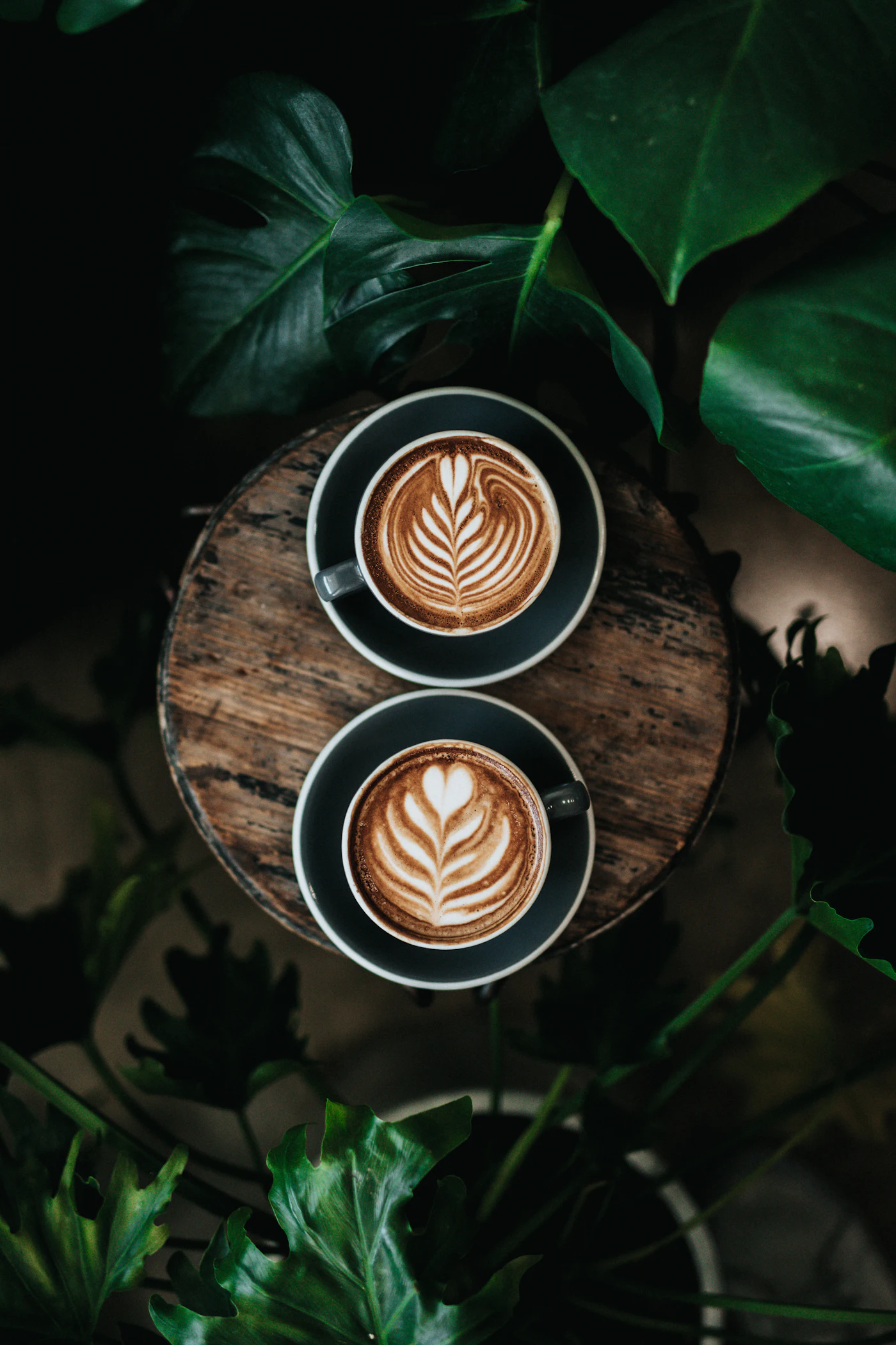 Dos tazas de café con arte latte sobre una tabla de madera, rodeadas de hojas verdes