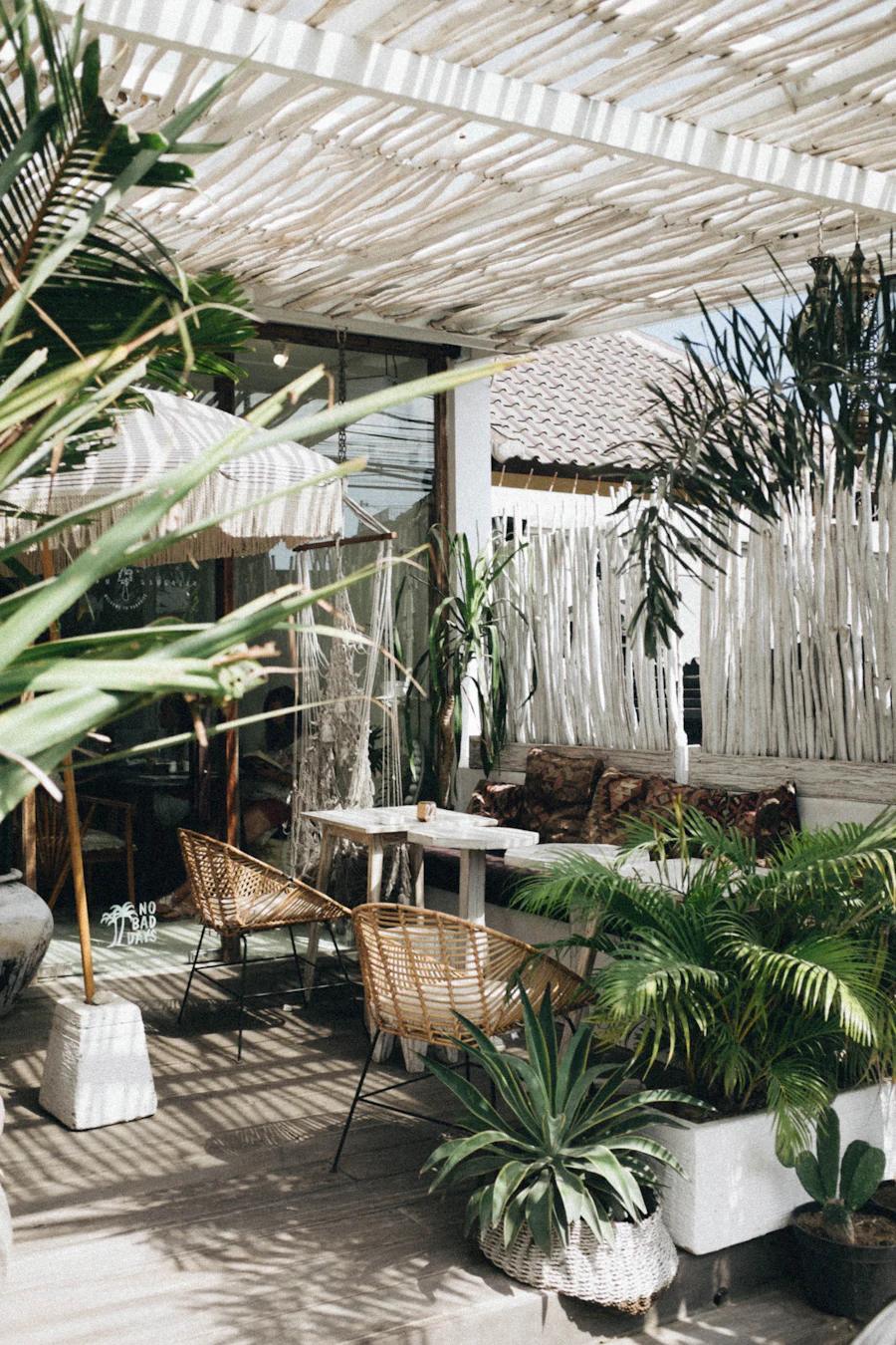 Zona interior tipo invernadero con plantas frondosas y asientos de madera