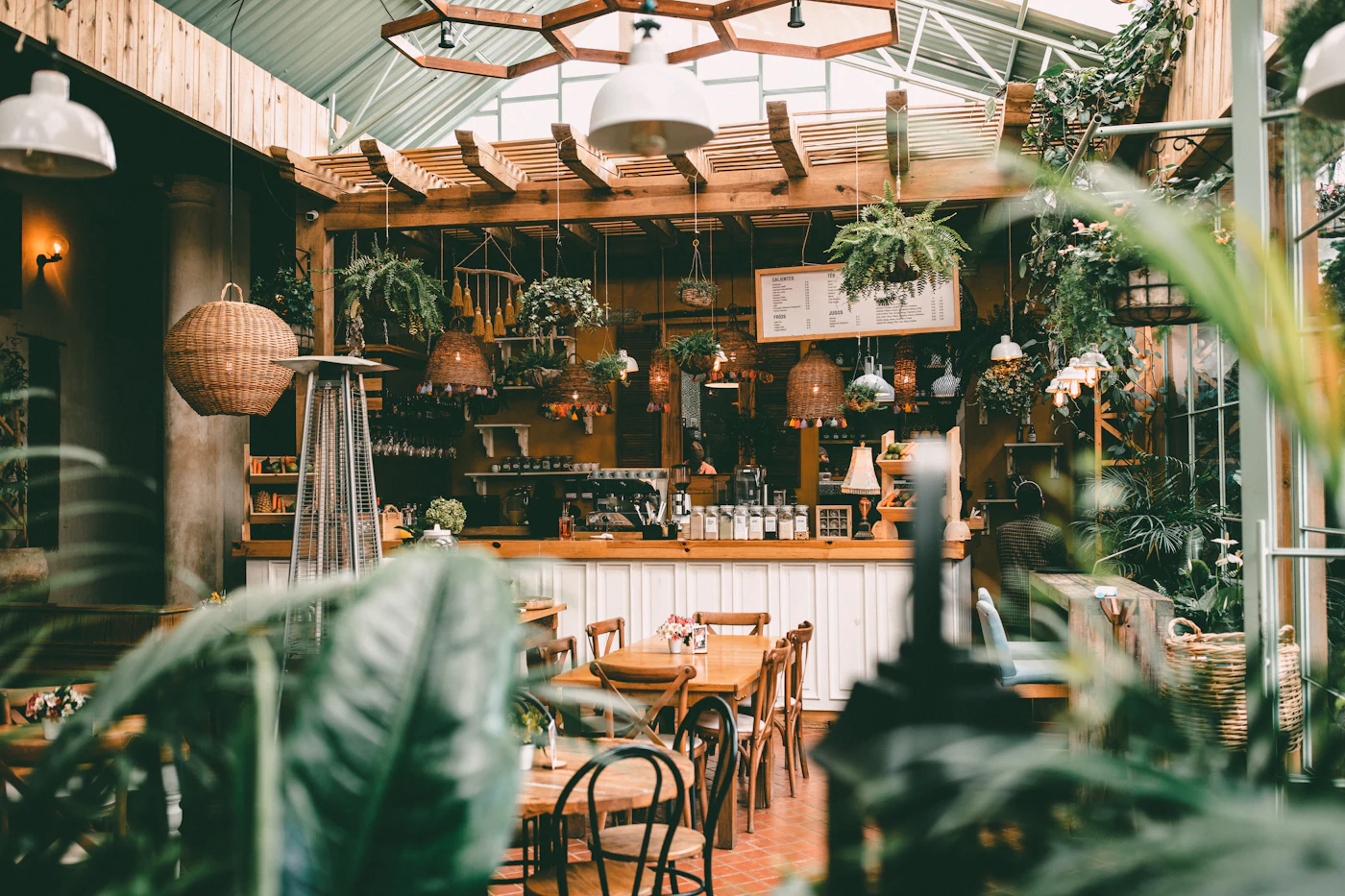 Rincón del salón con abundantes plantas colgantes y mobiliario de madera